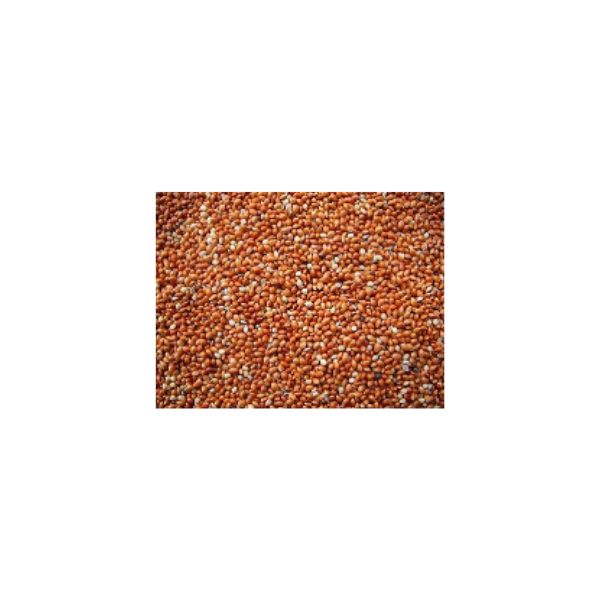 000000000027 MILLET RED 25KG BAG BBD 20/02/26 1 X 1 ) - Image 1