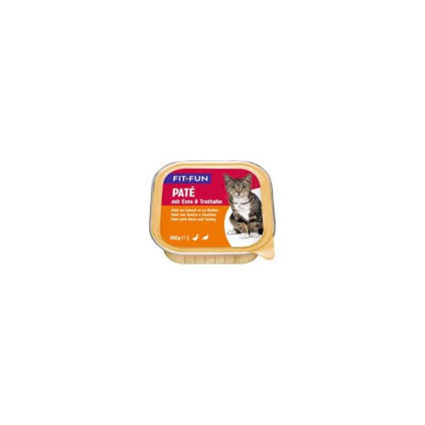 4047777195528 FIT & FUN CAT FOIL 100GR DUCK & TURKEY PATE BBD 23/06/26 ( 1 X 16 ) - Image 1