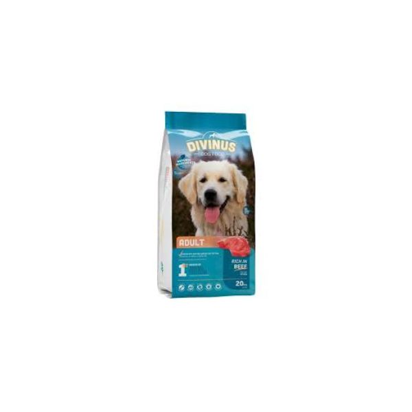 5600276940106 DIVINUS DOG DRY 20KG ADULT BBD 12/07/26 ( 1 X 1 ) 23% PROTEIN 8% FAT - Image 1